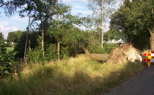 Stormschade bij VV Gassel / 13 juli 2010 / foto 1