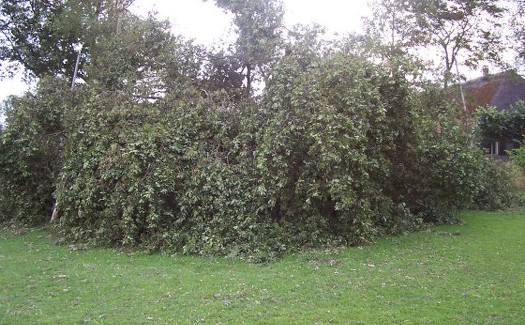 Stormschade bij VV Gassel / 13 juli 2010 / foto 7