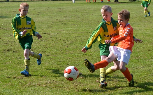 Gassel F2 voorjaarskampioen 2014 / 17 mei 2014 / foto 4