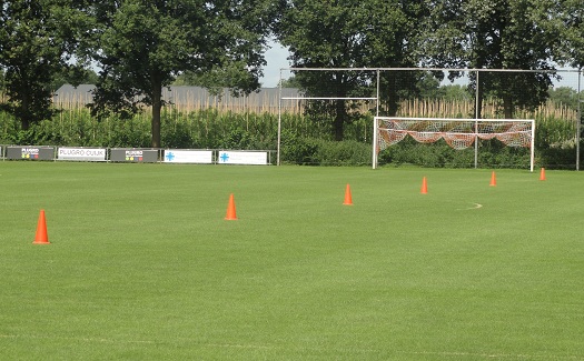 Eerste trainingsdag 2014-2015 / 03 augustus 2014 / foto 1