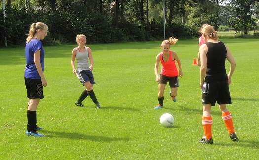 Eerste trainingsdag 2014-2015 / 03 augustus 2014 / foto 4
