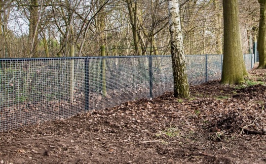 NLdoet bij VV Gassel / 10 maart 2017 / foto 24