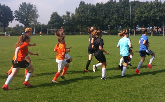  Eerste trainingsdag 2017-2018 / 13 augustus 2017 / foto 18